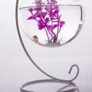 Ball Shape Glass Flower Hydroponic Planter Vase Hanging Plant Bottle Decor