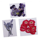 32x Natural Pressed Dried Flowers Muti Species For DIY Jewelry Crystal Soap