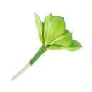 Artificial Foliage Succulent Water Lily Plant Wedding Vivid Decor