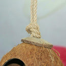Coconut Shell Bird Nest House Hut Cage Feeder Pet Parrot Toys Parakeet T1N9