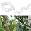 50pc Trellis Tomato Clips Supports Connects Plants Vines Binder Twine Cages A9X3