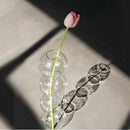 Glass Bubble Flower Vase Glass Planter Hydroponics Air Plant Bulb 4 Balls