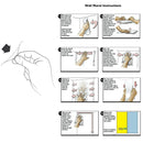 Aquarium   Tank Background Poster Marine Decorative Wallpaper 122x61cm