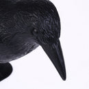 blackplastic hunting crow decoys garden bird deter scarecrow mice pest contro M&