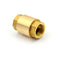 1/2'' NPT Brass Thread In-Line Spring Check Valve Backstop Valve RodCoreThread &