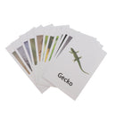 60x Realistic Montessori Jungle Animals Figures Set With Matching Cards