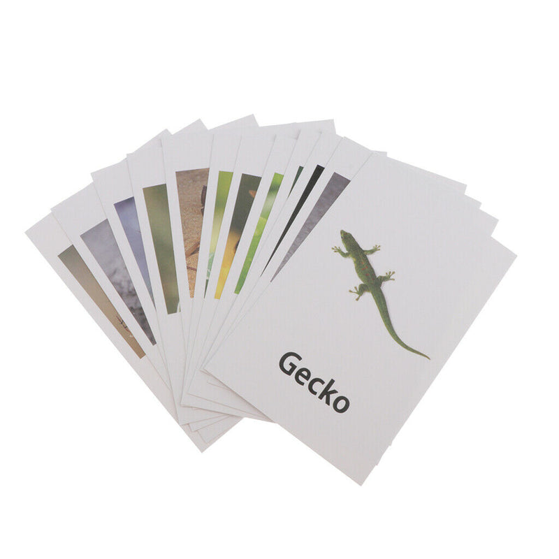 60x Realistic Montessori Jungle Animals Figures Set With Matching Cards