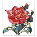 Counted Cross Stitch Kit Rose Flower 14CT Without Pre-printed Fabric 43x44cm
