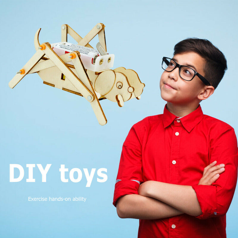 Physics Experiment Equipment DIY Materials School Project Educational Kits Gift