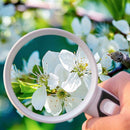 20 Times Magnifying Glass With Led Light Reading Handheld Magnifying Glass