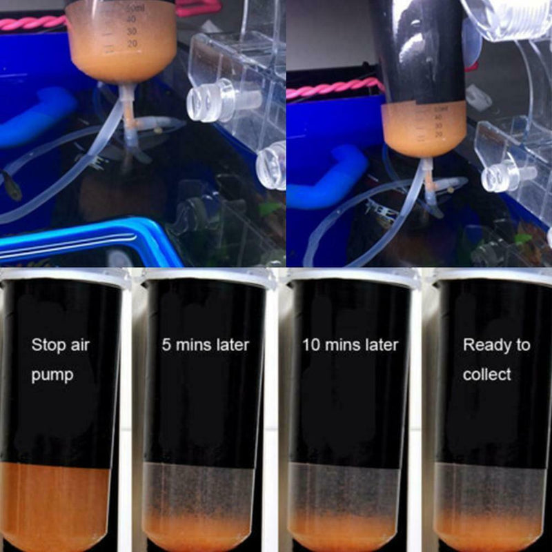 Brine Shrimp Incubator Fish Food Baby Fish Feed Fairy Shrimp Egg Hatch Tool