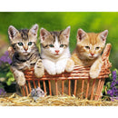 5D DIY Full Drill Diamond Painting Lovely Cats Cross Stitch Embroidery Kits