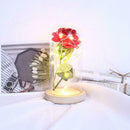 Rose 20 LED String Light Glass Dome Night Lamp Party Home Decor (Beige Base