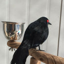 Spooky Black Feathered Lifelike Scary Halloween Raven Crow Prop Decor for G V3C3