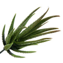 Artificial Succulents Craft Floristry Decoration Plastic Plants Aloe Simula F5L6