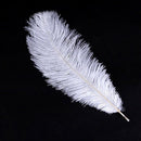 20 x natural ostrich feather 25-30cm white decoration festivities Y3Q7