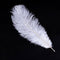 20 x natural ostrich feather 25-30cm white decoration festivities Y3Q7