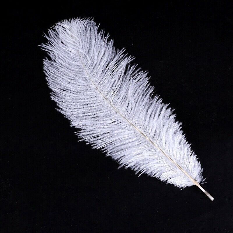 20 x natural ostrich feather 25-30cm white decoration festivities Y3Q7