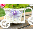 Tricycle Flower Basket Wicker for Flower Vase and Gift Decoration Storage - K8K4