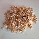 50Pc Mini Starfish Sea Star Shell Beach Wedding Craft DIY Making Decor Miniatur