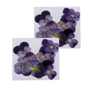 24pcs Natural Violet Real Dried Flowers Embellishments Nail Art Accessories