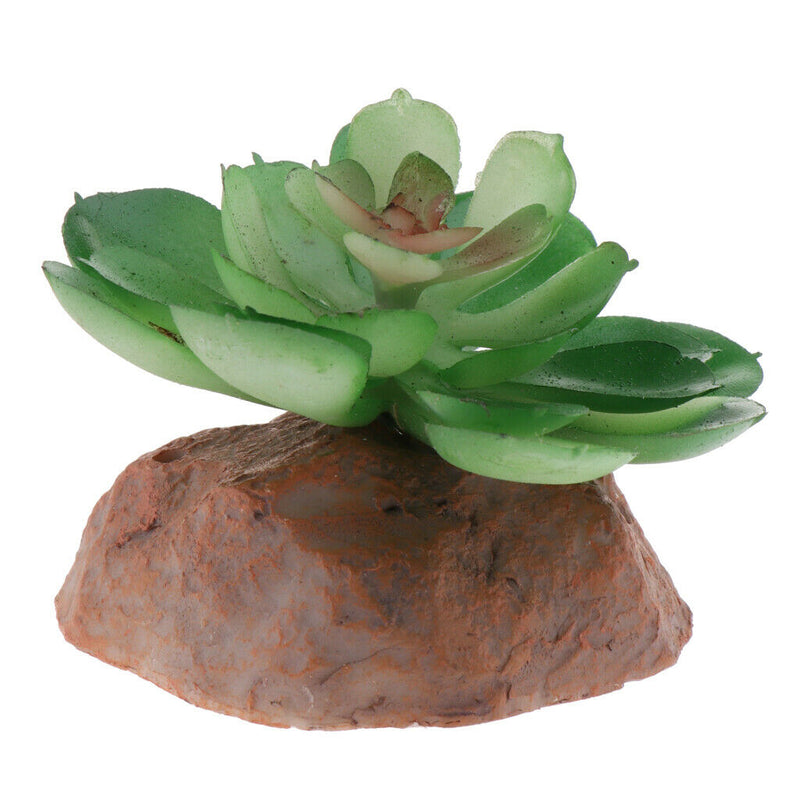 2x Water Plants Aquarium Ornament Landscape Reptiles