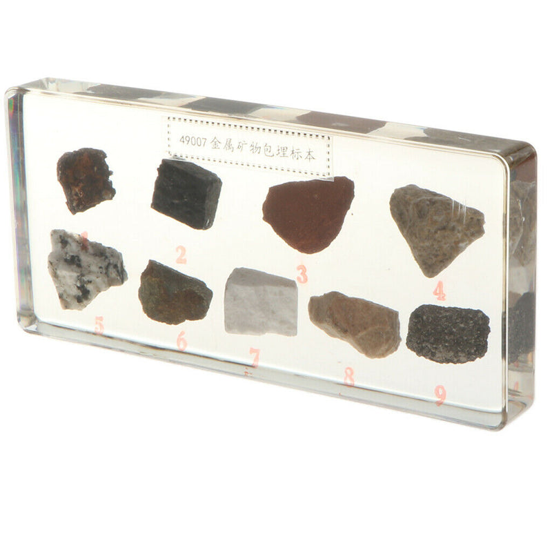 Real Rock And Mineral Geology Science Specimen Paperweight Collectible Gift