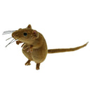 Vivid Mouse Imitation Animal Fridge Magnet Toys Outdoor Garden Lawn Tree Decor