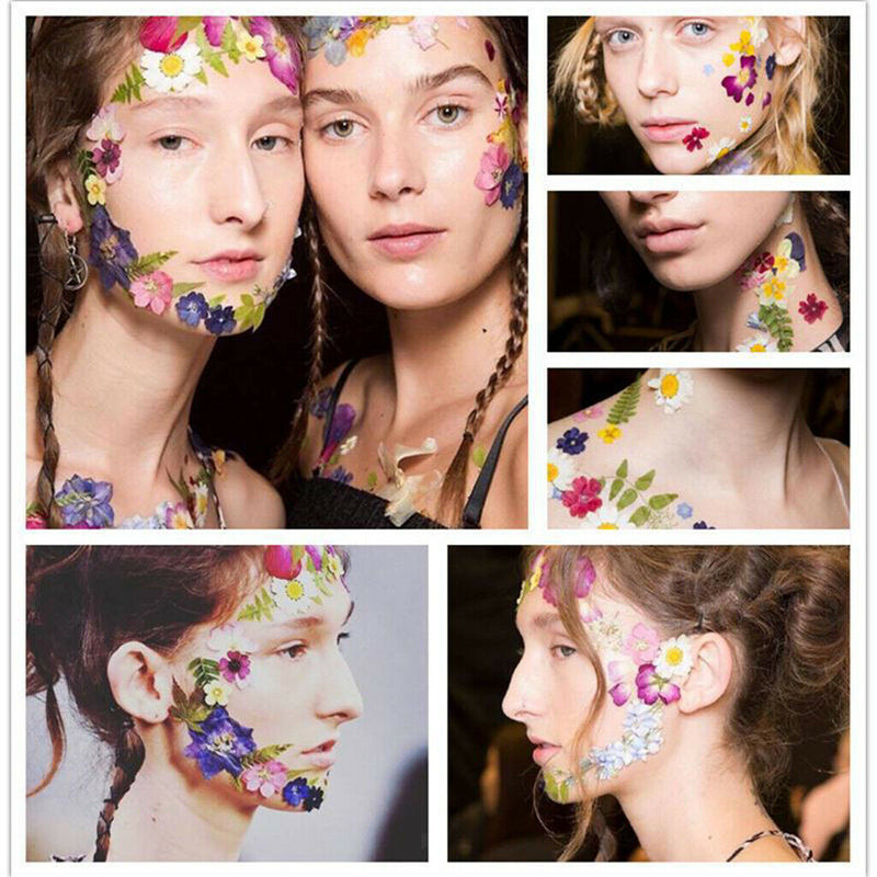 1 Set Natural Real Dried Flowers Card Making Album Frame Decor 2.5-3.5cm