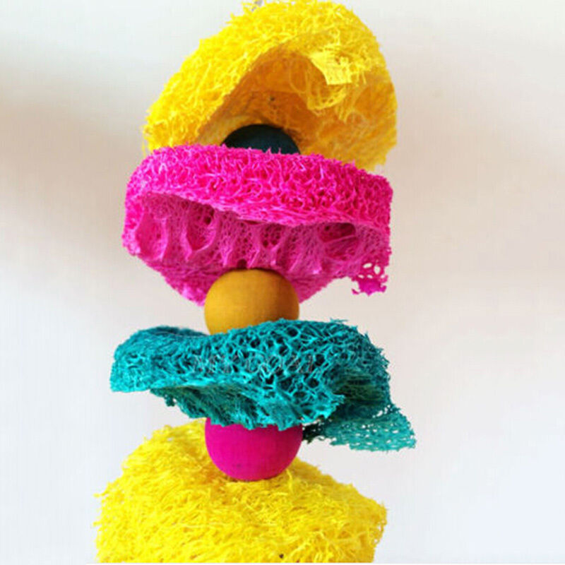 Easy Luffa Pet Bird Parrot Macaw Bell Swing Scratcher Parrot Bites   OZ