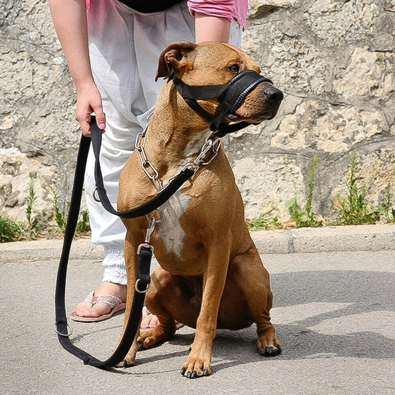 Hot Nylon Adjustable Breathable Loop Pet Dog Anti Biting Barking Mouth Muzzle