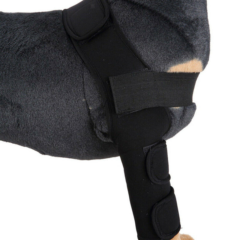 Dog Knee Joint Support Front Leg Compression Brace Protector Black - L