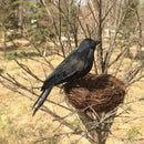 2x Artificial Realistic Birds Black Crows for Garden Halloween Decoration