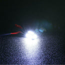 1 Pair T10 7020 10SMD Car LED Wedge Light License Plate Lamp (Black Board)