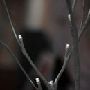 Desk Lighted Tree Light, Decorative Flexible Creative Light, Perfect for Ho X1E2