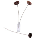 Lotus Natural Dried Flowers Bouquet Branch Decorations Floral for Party H-3C