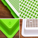 Seed Sprouter Tray Double-layer Soilless Culture Beans Hydroponic Nursery Tray