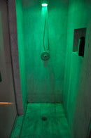 Temperature controlled Color Changing LED hand showerhead