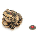 Chinese Feng Shui Money Lucky Fortune Wealth Toad Coin Home Decoration Home K7A6