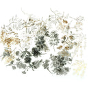 60pcs native flower gilding stickers decoration diy diary planner scrapbooking3C