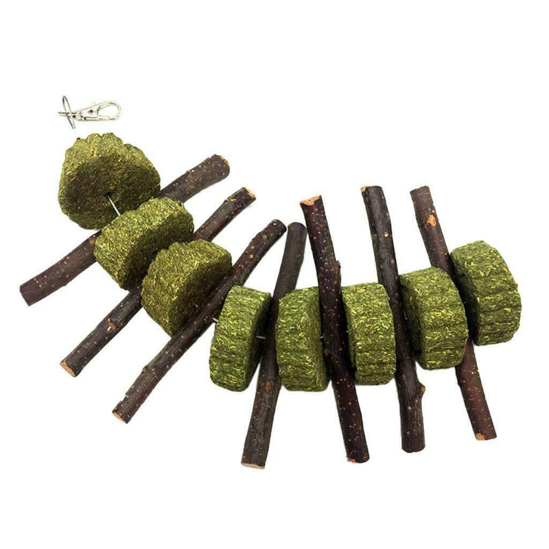 Bunny Chew Toys for Teeth, Organic  Wood Molar Sticks