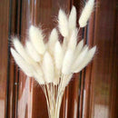 30 X Natural Rabbit Bunny Tail Grass Bouquets Wedding Dried Flowers 35-40cm