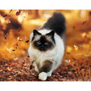 Full Round Drill 5D Diy Diamond Painting "Animal Cat" Embroidery Cross Stit