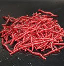 100 x Soft Red Earthworm Fishing Bait Worm Lures Crankbaits Hooks Baits Tackle