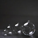 Hanging Glass Bottle Glass Vase Terrarium Hydroponic Container Decor - 12cm