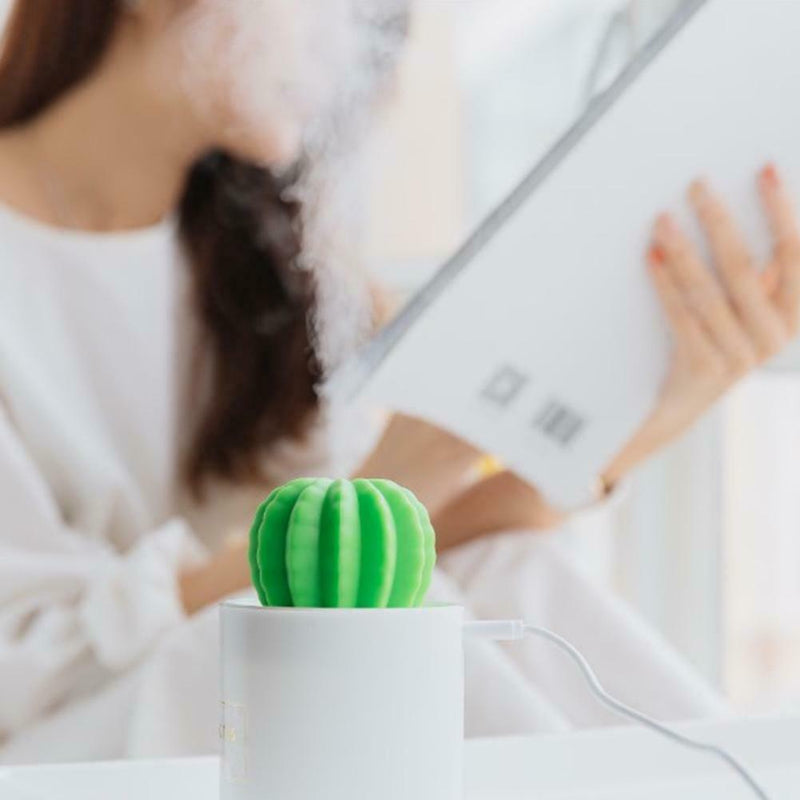 280mL Cactus Timing Air Humidifier USB Aromatherapy Diffuser Mist Maker