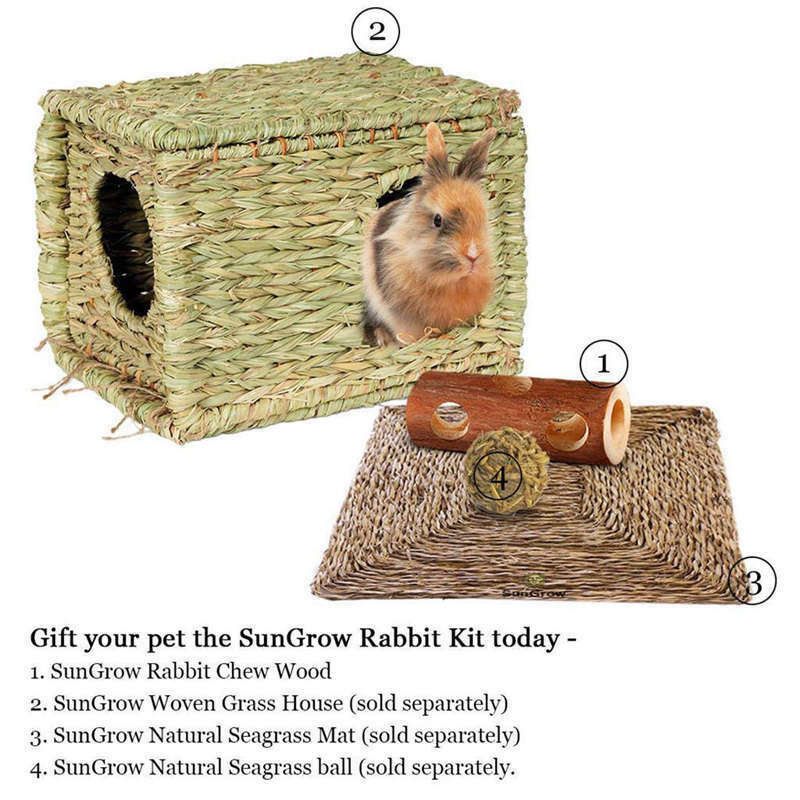 Natural Wood For Hamsters Organic Soft Wood, Non-Toxic, Pesticide-Free, Tho