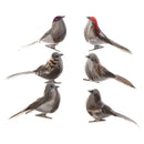 Home Decoration Artificial Foam Feather Bird Designer Home Decor Tree Decorat BX