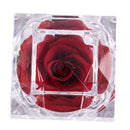 Acrylic Jewelry Box Ring Box with Red Rose for Wedding Birthday C8O2