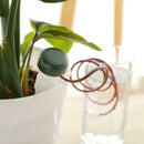 Automatic Self Watering Device Waterer Houseplant Plant Pot Garden Too YMS